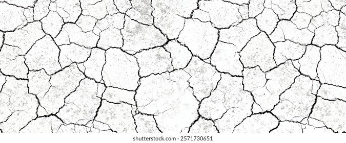 Cracked white background with a dry, textured style. The white background features irregular patterns resembling parched earth. Dry cracked soil texture background. White background vector.