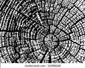 Cracked Wood Texture. Vector. Eps 8