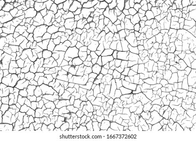 Crackle paint overlay. Vector black and white  grunge pattern made from natural oil paint crackle. Cool texture of cracks, stains, scratches, splash, etc for print and design. EPS10.