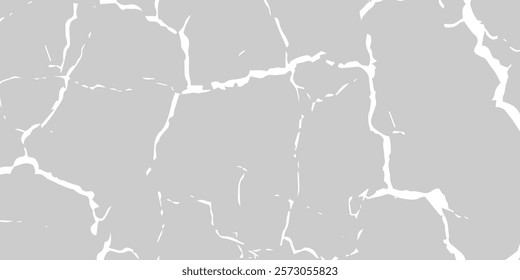 Cracks background, cracks texture, grunge background. Cracks in a wall background. Crack Texture. The cracks concrete texture white and black. Cracked earth. Structure of cracking