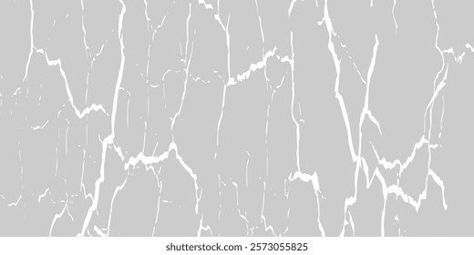 Cracks background, cracks texture, grunge background. Cracks in a wall background. Crack Texture. The cracks concrete texture white and black. Cracked earth. Structure of cracking