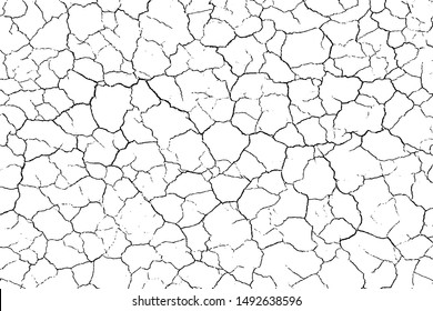 The cracks texture. Vector background.Cracked earth. Structure of cracking. Cracks in dry surface soil texture.  