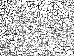 The Cracks Texture White And Black. Vector Background.Cracked Earth. Structure Of Cracking. Shards