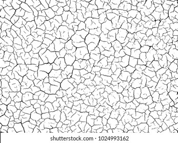 The cracks texture white and black. Vector background. Desert backdrop. Cracks in dry surface soil texture.Cracked earth pattern.