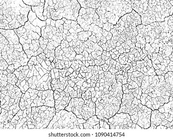 The cracks texture white and black. Vector background.Cracked earth