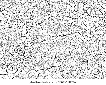 The cracks texture white and black. Vector background.Cracked earth