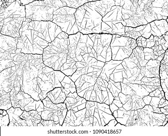 The cracks texture white and black. Vector background.Cracked earth