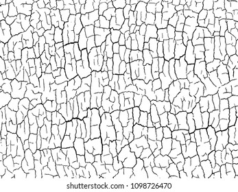 The cracks texture white and black. Vector background.Cracked earth. Structure of cracking