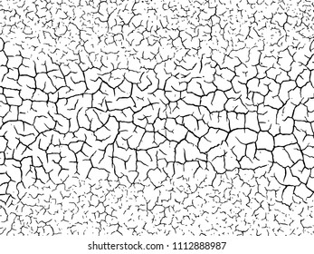The cracks texture white and black. Vector background.Cracked earth. Structure of cracking. Cracks in dry surface soil texture.