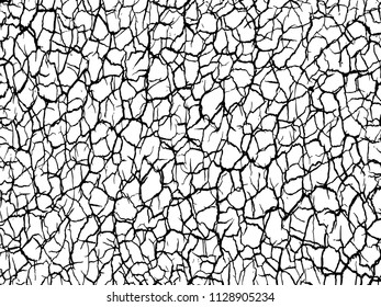The cracks texture white and black. Vector background.Cracked earth. Structure of cracking. Cracks in dry surface soil texture.