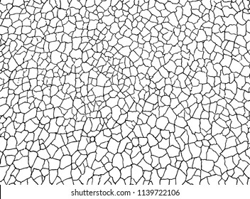 The Cracks Texture White And Black. Vector Background.Cracked Earth. Structure Of Cracking. Cracks In Dry Surface Soil Texture.