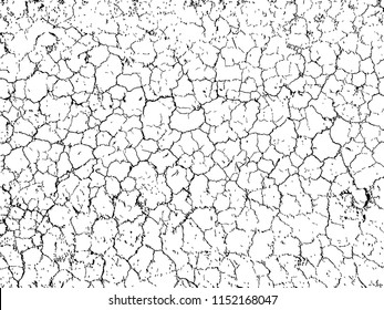 The cracks texture white and black. Vector background.Cracked earth. Structure of cracking. Cracks in dry surface soil texture.