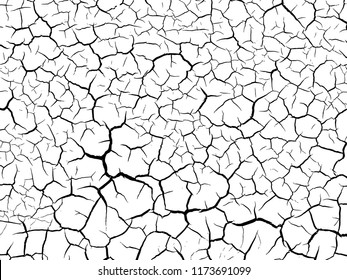 The cracks texture white and black. Vector background.Cracked earth. Structure of cracking. Cracks in dry surface soil texture.