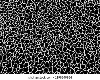 The cracks texture white and black. Vector background.Cracked earth. Structure of cracking. Cracks in dry surface soil texture.
