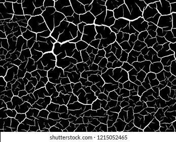 The cracks texture white and black. Vector background.Cracked earth. Structure of cracking. Cracks in dry surface soil texture.