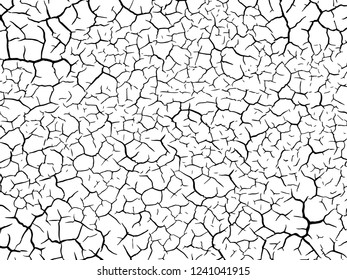 The cracks texture white and black. Vector background.Cracked earth. Structure of cracking. Cracks in dry surface soil texture.