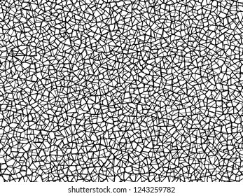 The cracks texture white and black. Vector background.Cracked earth. Structure of cracking. Cracks in dry surface soil texture.