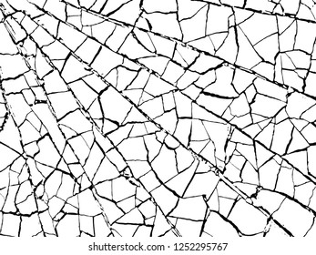 The cracks texture white and black. Vector background.Cracked earth. Structure of cracking. Cracks in dry surface soil texture.broken glass. shards