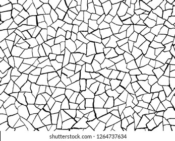 The cracks texture white and black. Vector background.Cracked earth. Structure of cracking. Cracks in dry surface soil texture. shards