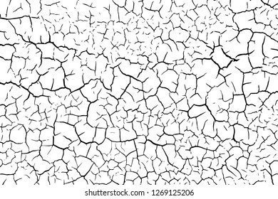 The cracks texture white and black. Vector background.Cracked earth. Structure of cracking. Cracks in dry surface soil texture. shards