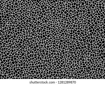 The cracks texture white and black. Vector background.Cracked earth. Structure of cracking. Cracks in dry surface soil texture. shards