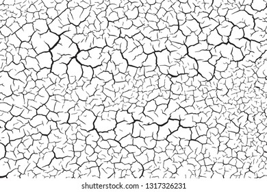 The cracks texture white and black. Vector background.Cracked earth.  
