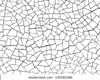 The cracks texture white and black. Vector background.Cracked earth. Structure of cracking. Cracks in dry surface soil texture. shards