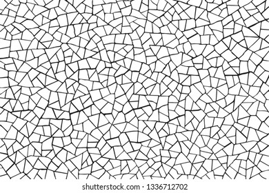 The cracks texture white and black. Vector background.Cracked earth. Structure of cracking.surface soil texture. shards