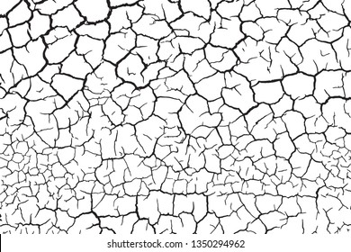 The cracks texture white and black. Vector background.Cracked earth. Structure of cracking. Cracks in dry surface soil texture. 