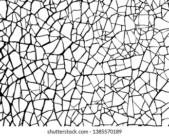 Cracks Texture White Black Vector Backgroundcracked Stock Vector ...