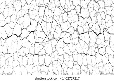 The cracks texture white and black. Vector background.Cracked earth. Structure of cracking. Cracks in dry surface soil texture. shards