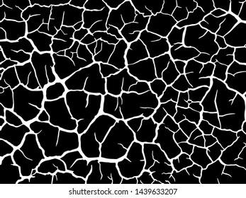  The cracks texture white and black. Vector background.Cracked earth. Structure of cracking. Cracks in dry surface soil texture.  