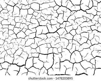 The cracks texture white and black. Vector background.Cracked earth. Structure of cracking. Cracks in dry surface soil texture.  