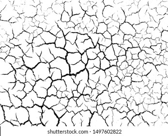 The cracks texture white and black. Vector background.Cracked earth. Structure of cracking. Cracks in dry surface soil texture.  