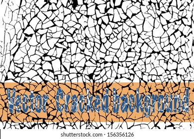 The cracks texture white and black. Vector background.