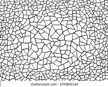 The cracks texture white and black. Vector background.Cracked earth. Structure of cracking. shards