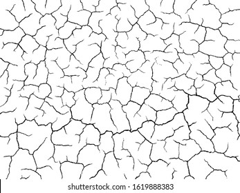 The cracks texture white and black. Vector background.Cracked earth. Structure of cracking. Cracks in dry surface soil texture. 
