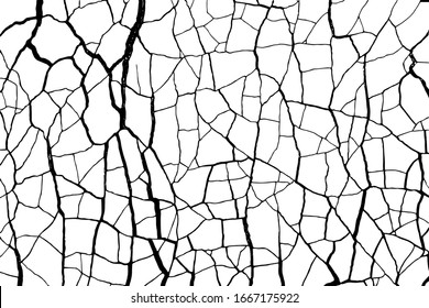 The cracks texture white and black. Vector background.Cracked earth.  
 shards