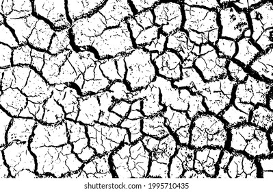 Cracks Texture White Black Vector Background Stock Vector (Royalty Free ...