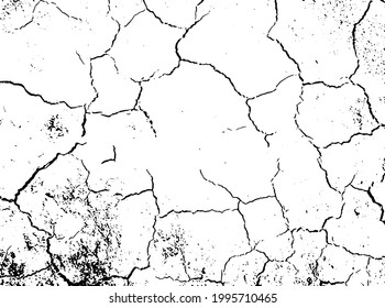 The cracks texture white and black. Vector background. Desert backdrop. Cracks in dry surface soil texture