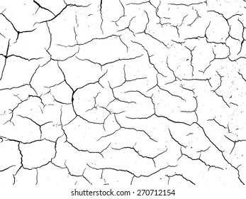 The cracks texture white and black. Vector background.