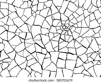 Cracks Texture White Black Vector Background Stock Vector (Royalty Free ...