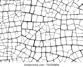 The cracks texture white and black. Vector background.