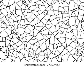 The cracks texture white and black. Vector background.Contours.Chips