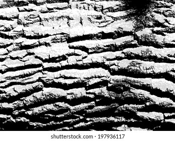 The cracks texture white, gray and black. Vector background. eps 8