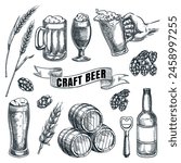 Craft beer and brewery vector hand drawn sketch illustration. Bottles, barrels and glasses design elements for pub and bar alcohol drinks menu