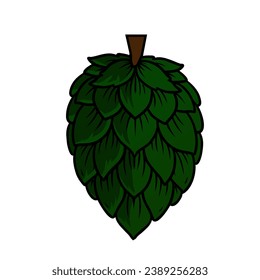 Ilustración vectorial de lúpulo de cultivo de cerveza artesanal