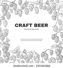 Craft beer hops hand drawn background with a place for your text. Stock vector