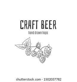 Craft beer hops hand drawn logo for label, poster, banner etc. Stock vector