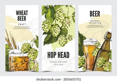 Craft hop and wheat, barley natural beer brewery banners, hand drawn vector illustration. Banners or posters set for beer advertising and drink labels.